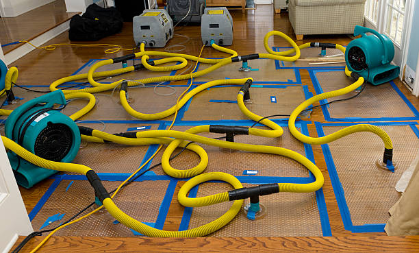 Professional Water Damage Restoration technician working in Beallsville, OH